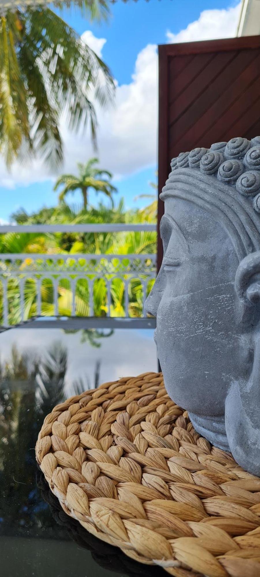 Grand Studio Zen Idealement Situe A Saint-Francois Avec Piscine Et Terrasse Værelse billede